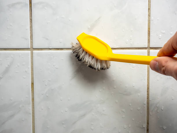 Best Mold Remediation for Specific Building Types in Pink, OK