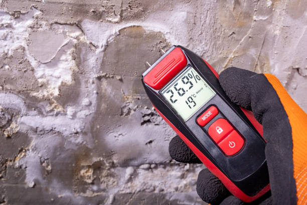 Professional Mold Remediation in Pink, OK