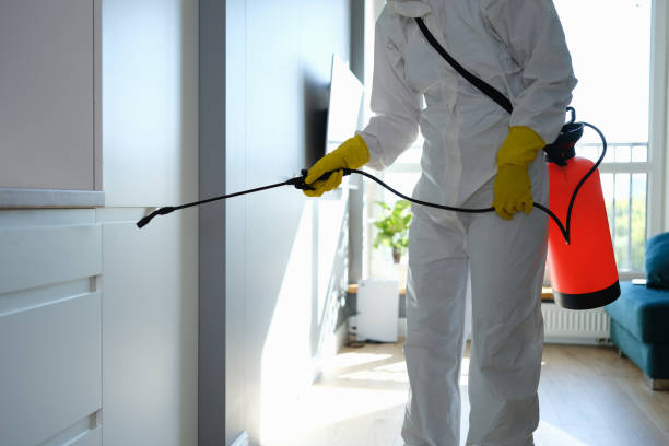 Best HVAC Mold Remediation in Pink, OK